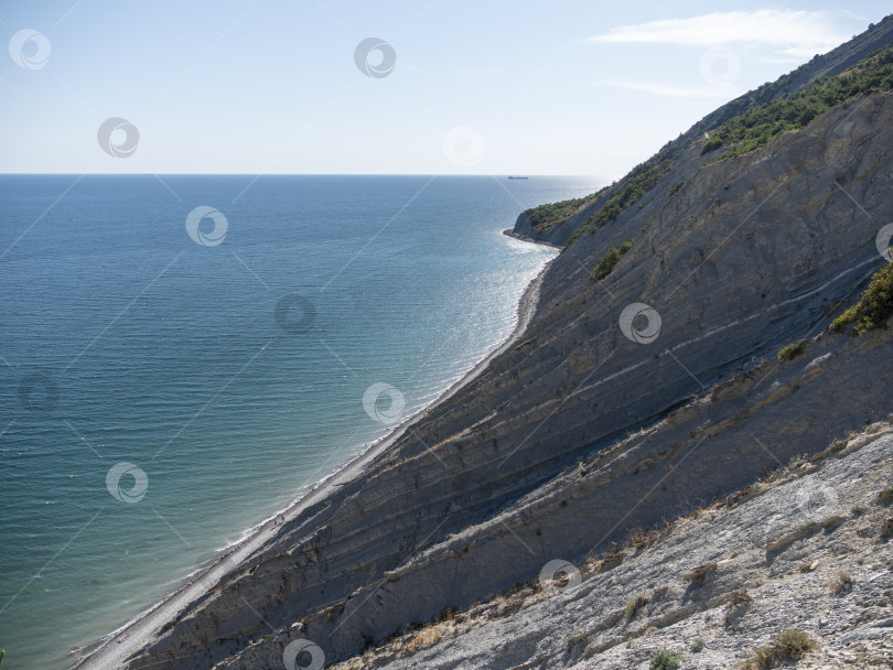 Скачать Красивое побережье Черного моря со скалами и растениями фотосток Ozero