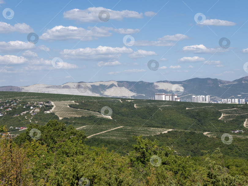 Скачать Ряды виноградников ранней весной на Кубани фотосток Ozero