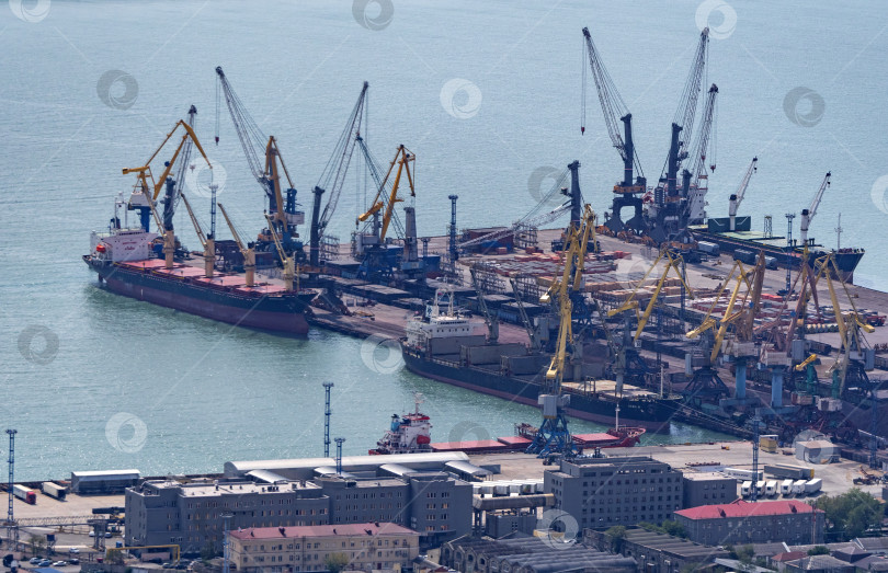 Скачать Новороссийск, Россия, 18.08.2024. Портовые краны, Черное море, порт, Краснодарский край, Новороссия фотосток Ozero