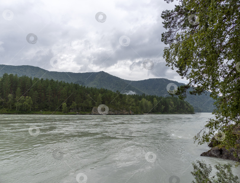Скачать Волны, брызги и пена, река Катунь в Горном Алтае. Сибирь, Россия фотосток Ozero