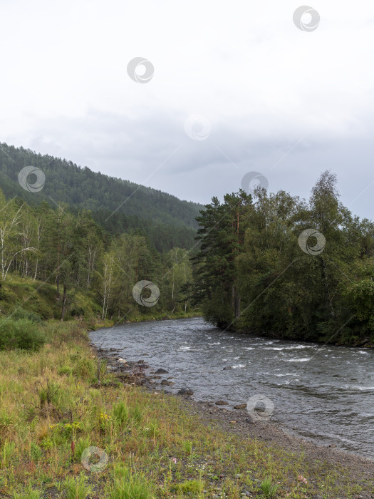 Скачать Волны, брызги и пена, река Катунь в Горном Алтае. Сибирь, Россия фотосток Ozero