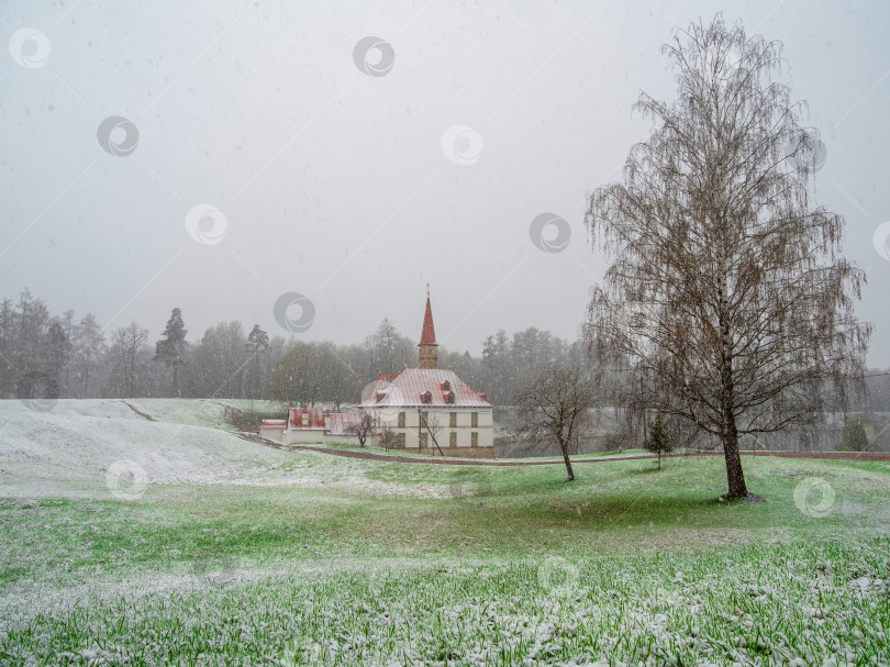 Скачать Гатчинский парк и Приоратский дворец весной фотосток Ozero