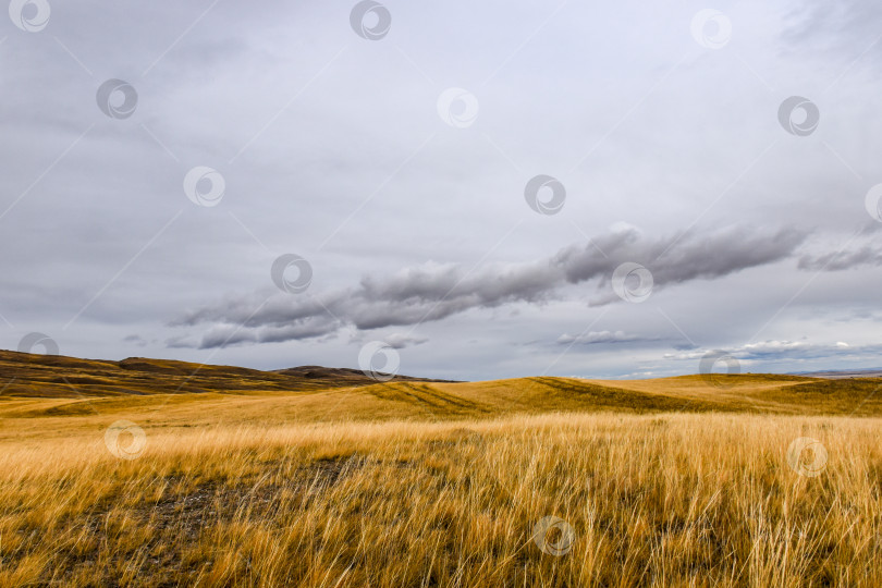 Скачать Менгиры фотосток Ozero