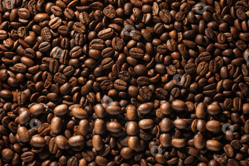 Скачать Слово coffee выложено на фоне из кофейных зерен фотосток Ozero