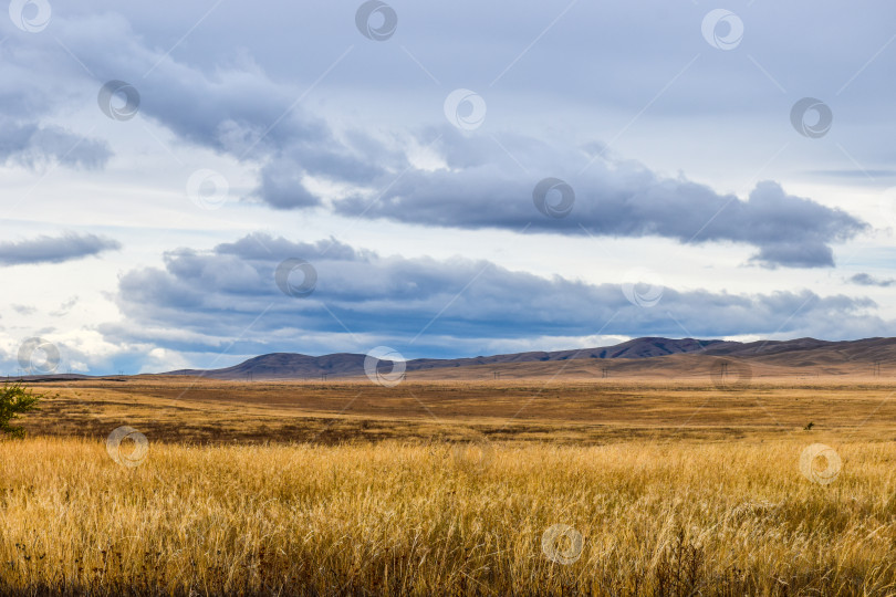 Скачать Осенний пейзаж фотосток Ozero