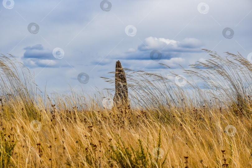 Скачать Менгир фотосток Ozero