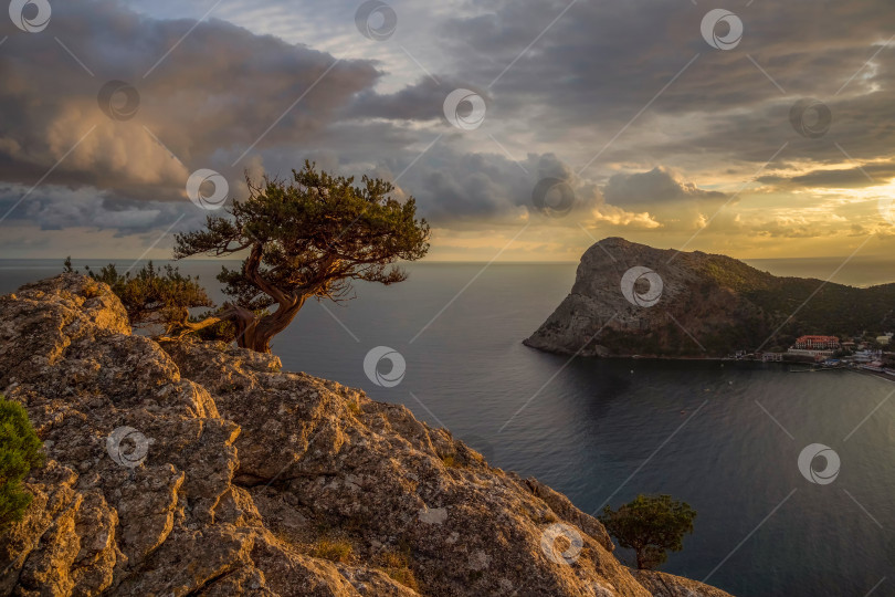 Скачать Гора Сокол в Крыму на закате. Крым. фотосток Ozero