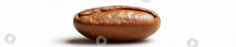 Скачать Крупный план обжаренных кофейных зерен с детализированной текстурой и высокой прозрачностью фотосток Ozero