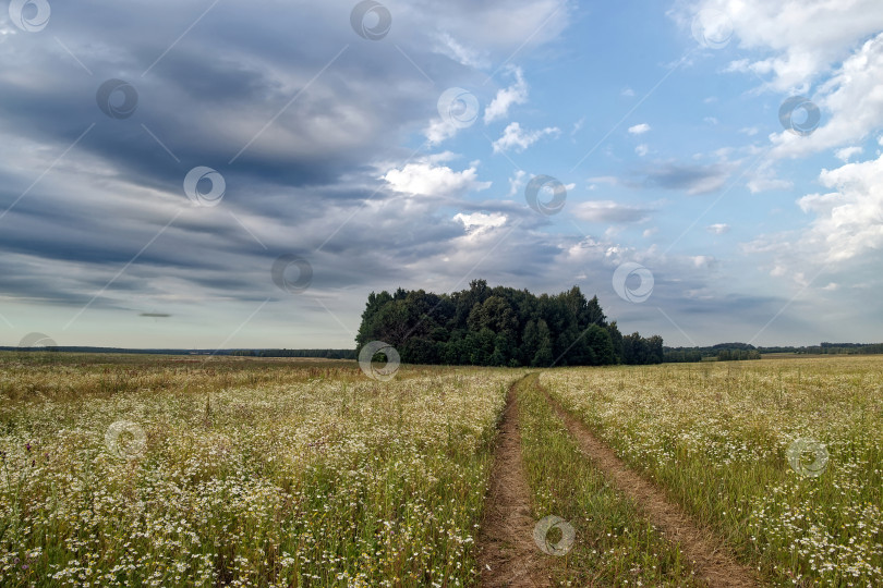 Скачать Грунтовая дорога в сельской местности в пасмурный день фотосток Ozero