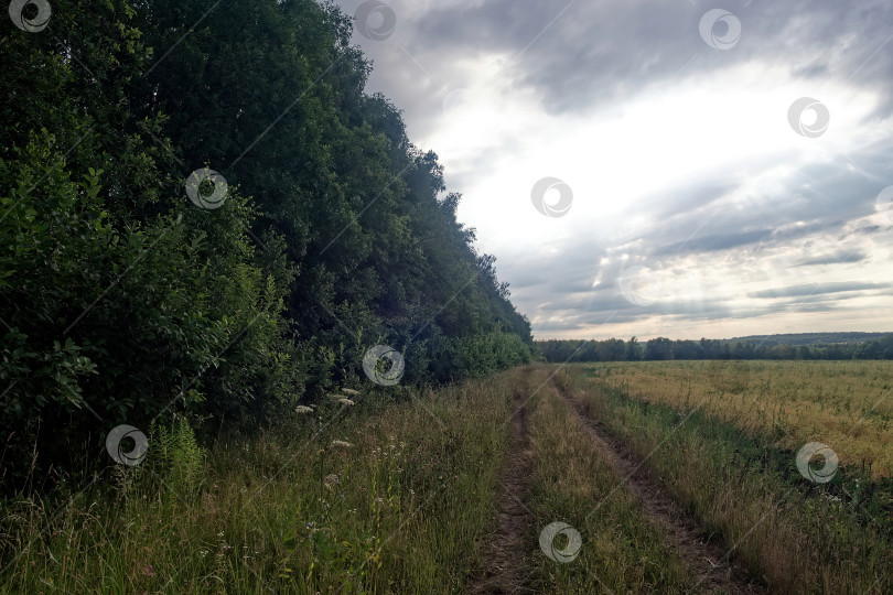 Скачать Грунтовая дорога в сельской местности в пасмурный день фотосток Ozero