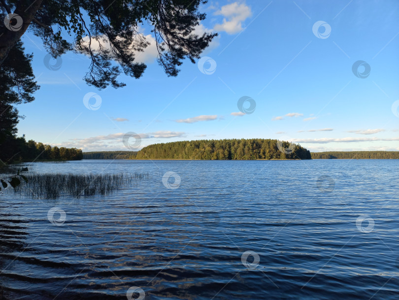 Скачать Зеркальное озеро, Санкт-Петербург, Россия фотосток Ozero