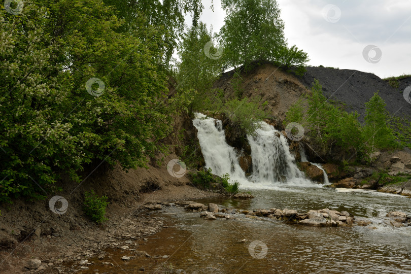 Скачать В пасмурный летний день бурный водопад двумя ветвями стекает с невысокого холма в спокойный ручей, окруженный березовым лесом. фотосток Ozero