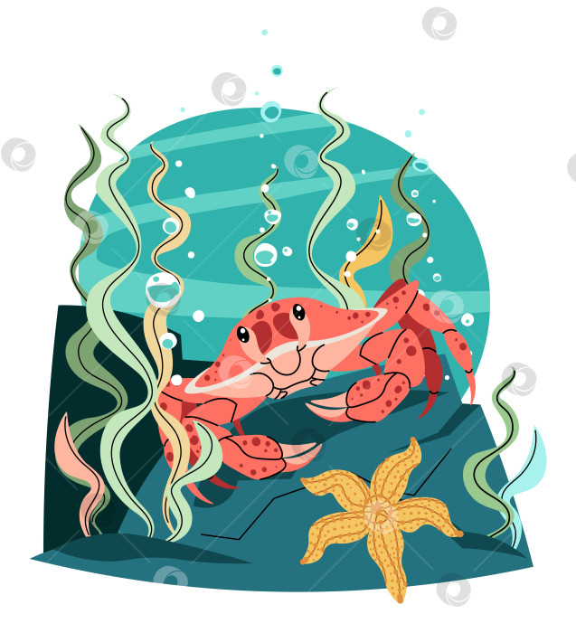 Скачать Крабы и морские водоросли, выделенные на белом фоне. Векторная иллюстрация морских обитателей для проектов по сохранению океана и образовательных материалов. Плоский дизайн. фотосток Ozero