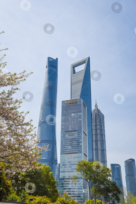Скачать Шанхай, Китай - 1 апреля 2025 года: Сверкающее трио небоскребов Shanghai Tower, Jinmao Tower и SWFC величественно возвышается среди цветущих весенних деревьев под сияющим голубым небом, демонстрируя культовый горизонт Пудуна фотосток Ozero
