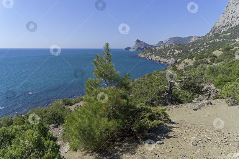 Скачать Прекрасный морской пейзаж. фотосток Ozero