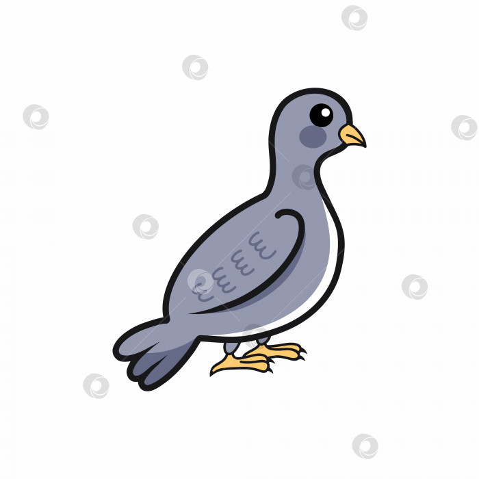 Скачать Милый голубь на белом фоне. Векторная иллюстрация для ребенка. Птица в стиле каракулей. фотосток Ozero