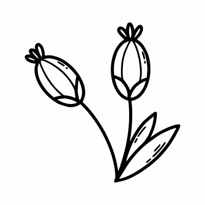 [object Object] undefined