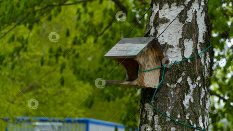 Скачать кормушка для птиц фотосток Ozero