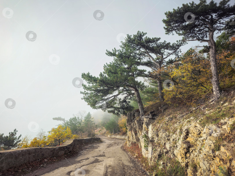 Скачать Горная дорога в тумане. фотосток Ozero