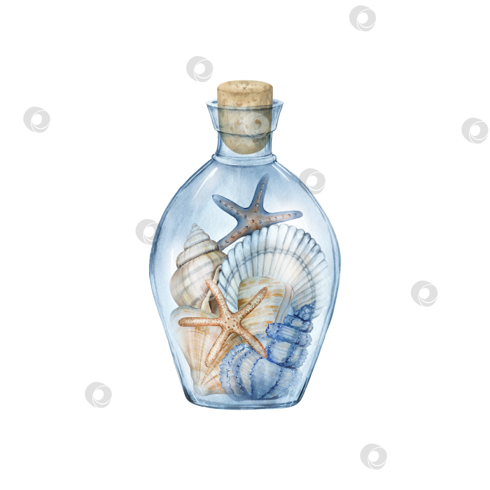 Скачать Различные морские раковины, закупоренные в стеклянную бутылку. фотосток Ozero