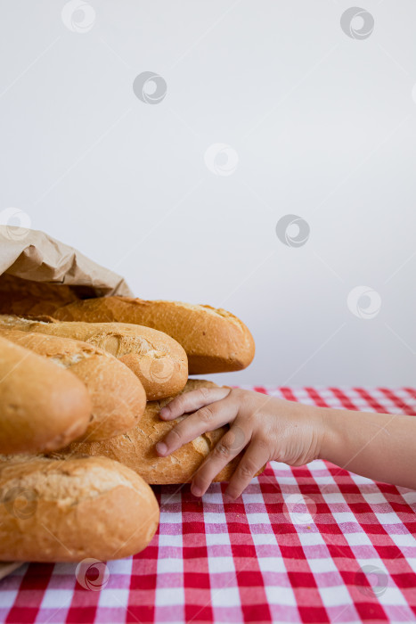 Скачать Детская ручка тянется за свежими багетами на красной клетчатой скатерти фотосток Ozero