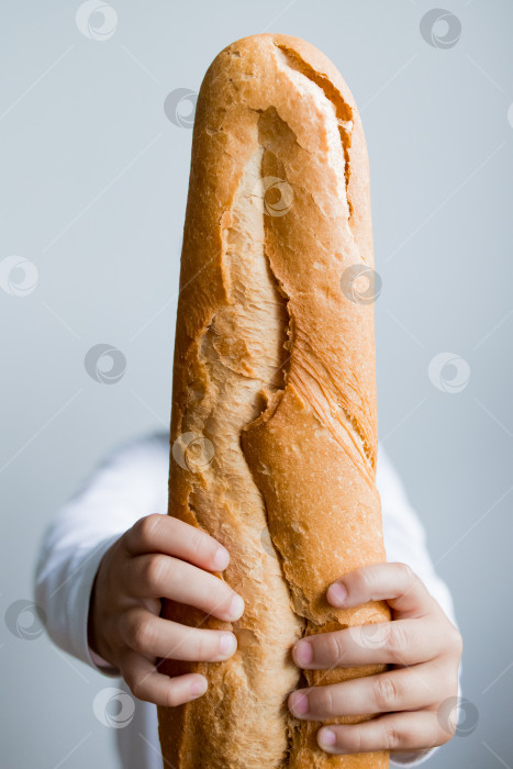 Скачать Ребенок держит большой хрустящий багет на сером фоне фотосток Ozero