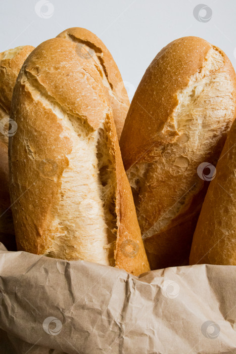 Скачать Свежеиспеченные авторские багеты в бумажном пакете фотосток Ozero