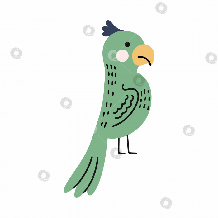 Скачать Зеленый африканский попугай. Милая птичка. Векторная иллюстрация каракулей. Животные для детей. фотосток Ozero