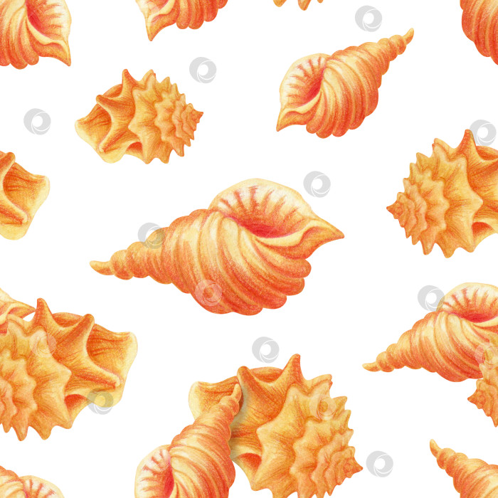 Скачать Бесшовный узор из морских ракушек, нарисованных от руки. Один раппорт бесконечного пляжного орнамента фотосток Ozero