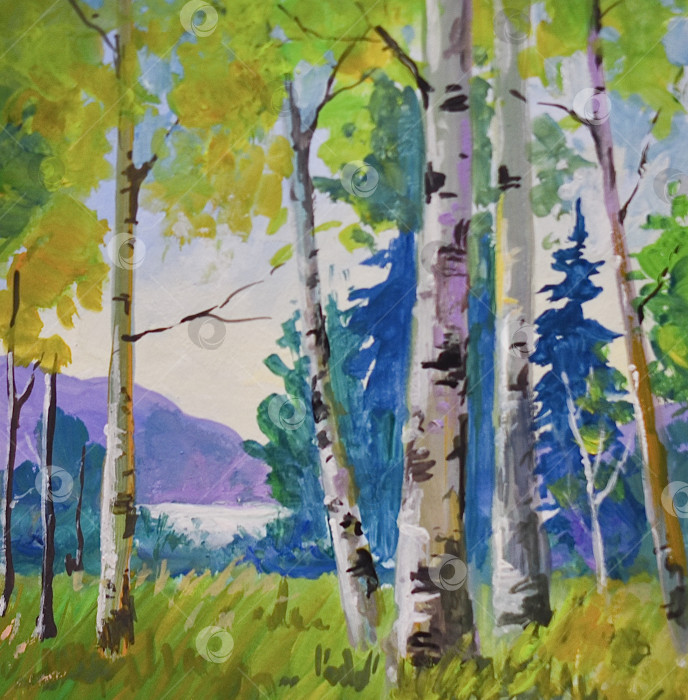 Скачать Березы фотосток Ozero