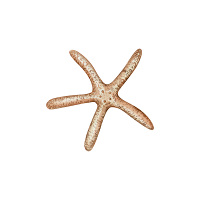 [object Object] undefined