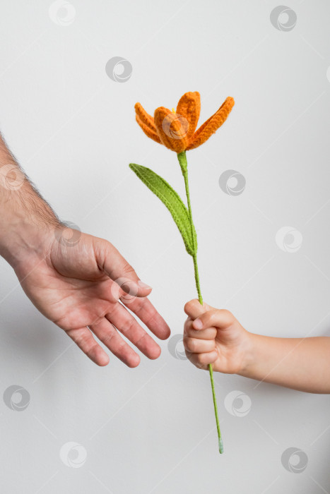 Скачать Ребенок дает взрослому в руки вязаный оранжевый цветок на белом фоне. Концепция дня отцов фотосток Ozero