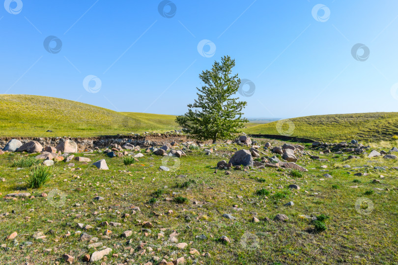 Скачать Менгиры фотосток Ozero