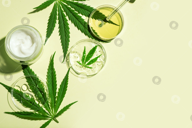 Скачать Конопляные листья каннабиса и масло CBD косметические средства фотосток Ozero