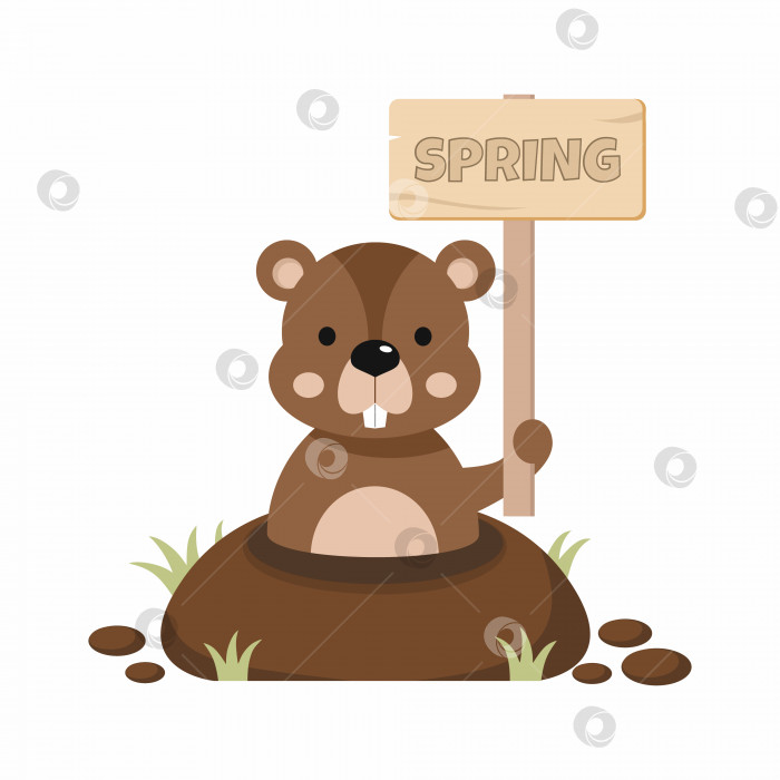 Скачать Счастливого Дня сурка. Симпатичное животное держит в лапах табличку с надписью "Весна". Прогноз погоды. 2 февраля. фотосток Ozero