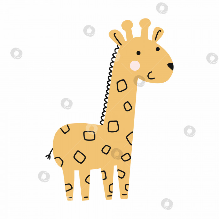 Скачать Милый жираф на белом фоне. Векторная иллюстрация каракулей. Плакат для детской комнаты. Африканское животное. фотосток Ozero