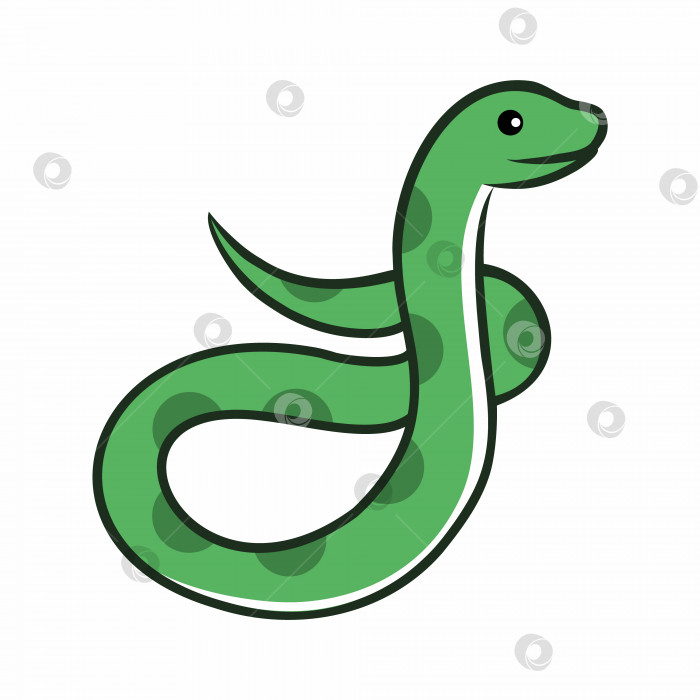 Скачать Симпатичная змея на белом фоне. Векторная иллюстрация в мультяшном стиле. фотосток Ozero