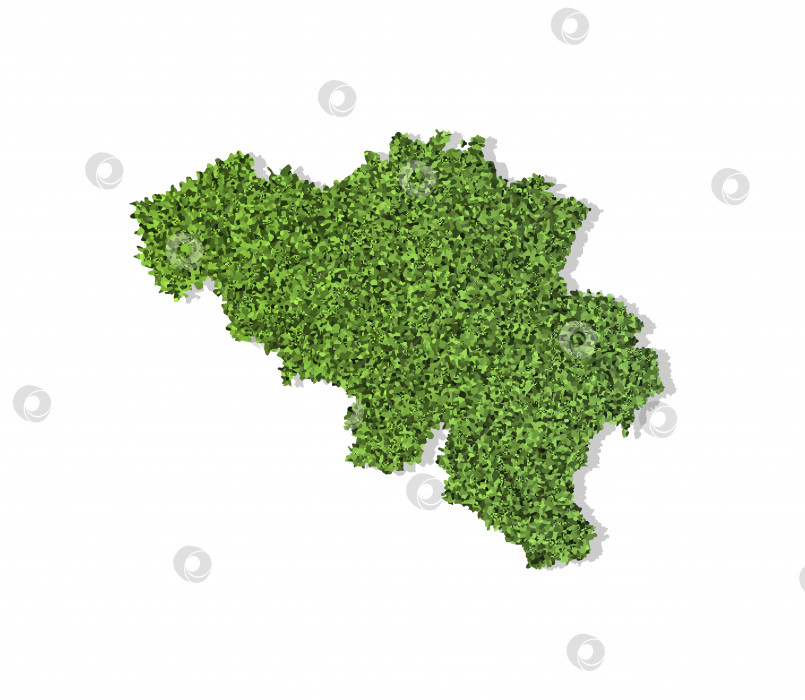 Скачать Векторный изолированный значок упрощенной иллюстрации с зеленым травянистым силуэтом карты Бельгии. Белый фон фотосток Ozero