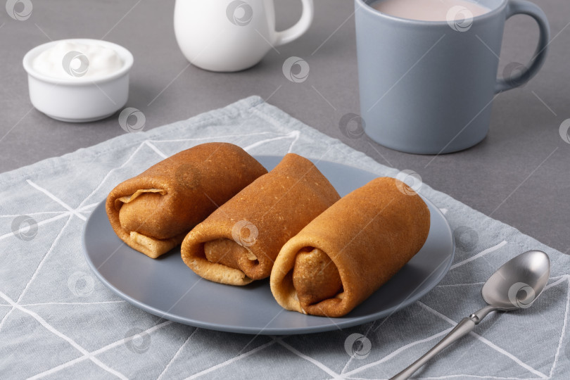 Скачать Домашние пикантные блинчики с мясной начинкой фотосток Ozero