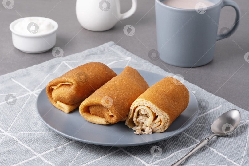 Скачать Домашние пикантные блинчики с мясной начинкой фотосток Ozero
