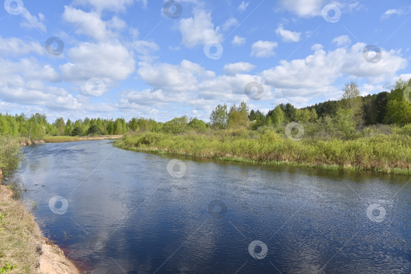 Скачать Весна в Мещерском национальном парке. фотосток Ozero