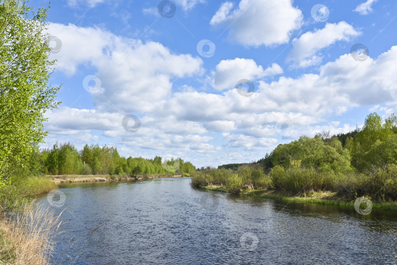 Скачать Весна в Мещерском национальном парке. фотосток Ozero