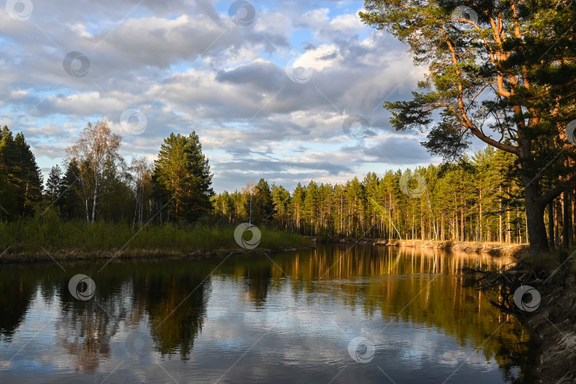 Скачать Весна в Мещерском национальном парке. фотосток Ozero