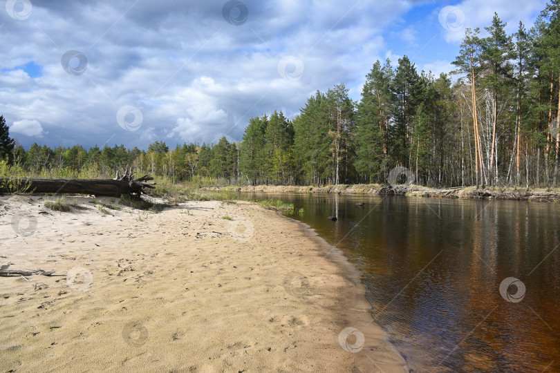 Скачать Весна в Мещерском национальном парке. фотосток Ozero