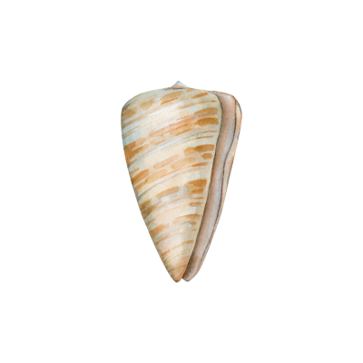 [object Object] undefined