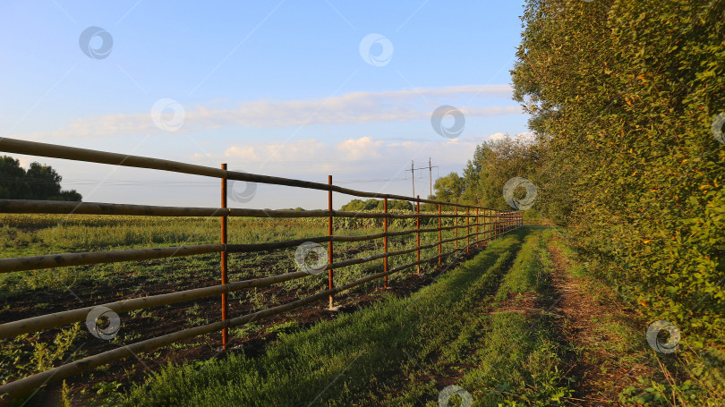 Скачать Сельская дорога фотосток Ozero