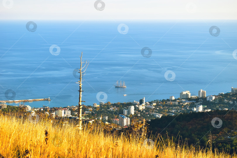 Скачать Вид на Алупку с горной высоты фотосток Ozero