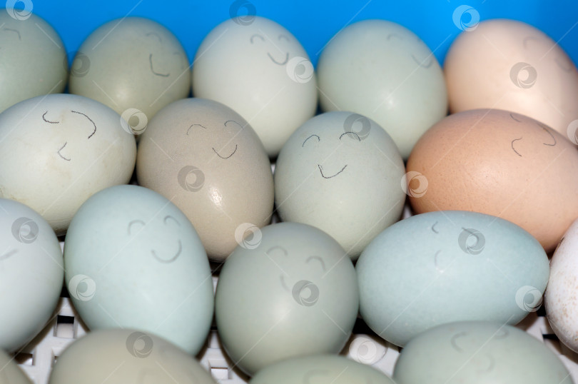 Скачать Куриные яйца разных цветов с нарисованными лицами фотосток Ozero