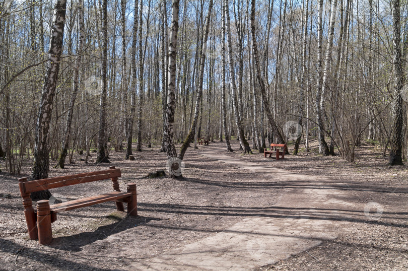 Скачать Пустая тропинка в весеннем лесу. фотосток Ozero