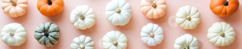 Скачать Ассорти из тыкв нейтральных тонов с видом сверху для осеннего декора и декора на день благодарения фотосток Ozero